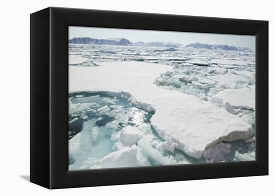Sea Ice Surrounding Islands-DLILLC-Framed Premier Image Canvas