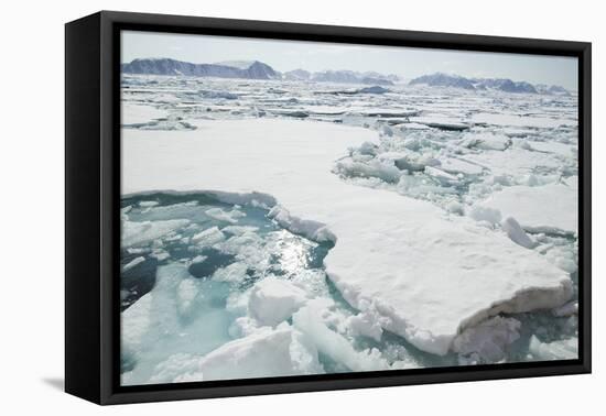 Sea Ice Surrounding Islands-DLILLC-Framed Premier Image Canvas