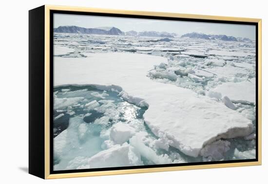 Sea Ice Surrounding Islands-DLILLC-Framed Premier Image Canvas