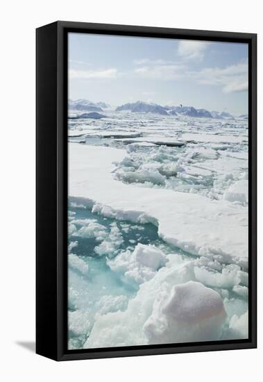 Sea Ice Surrounding Islands-DLILLC-Framed Premier Image Canvas