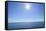 Sea in summer with sun, Rorvig, Isefjord, Odsherred, Zealand, Denmark-Raimund Linke-Framed Stretched Canvas