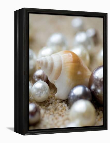 Sea Jewels I-Boyce Watt-Framed Stretched Canvas