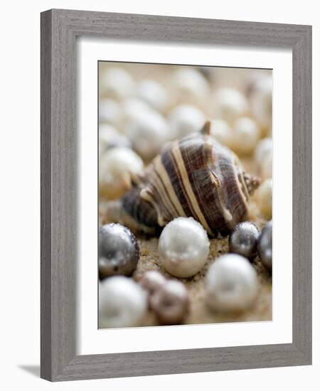 Sea Jewels II-Boyce Watt-Framed Art Print