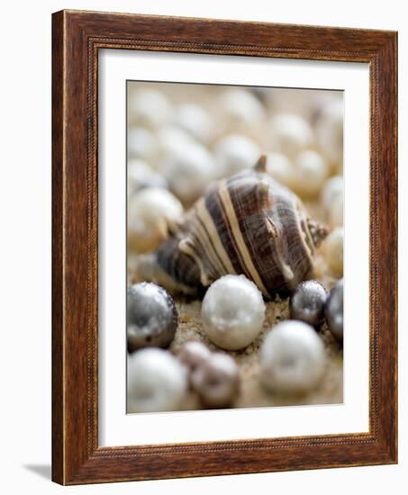 Sea Jewels II-Boyce Watt-Framed Art Print