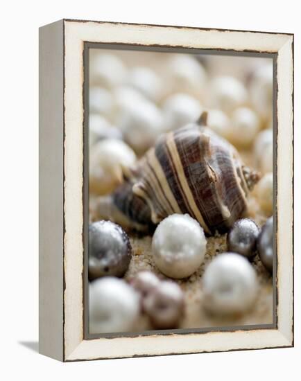 Sea Jewels II-Boyce Watt-Framed Stretched Canvas