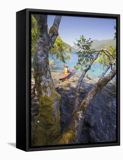 Sea Kayaker with Alder (Alnus Rubra), Crescent Lake, Washington, USA-Gary Luhm-Framed Premier Image Canvas