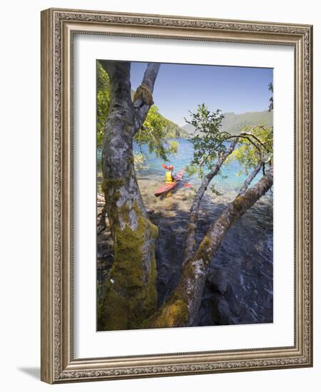 Sea Kayaker with Alder (Alnus Rubra), Crescent Lake, Washington, USA-Gary Luhm-Framed Photographic Print