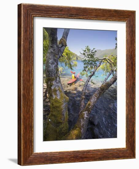 Sea Kayaker with Alder (Alnus Rubra), Crescent Lake, Washington, USA-Gary Luhm-Framed Photographic Print