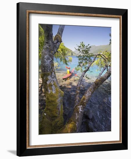 Sea Kayaker with Alder (Alnus Rubra), Crescent Lake, Washington, USA-Gary Luhm-Framed Photographic Print