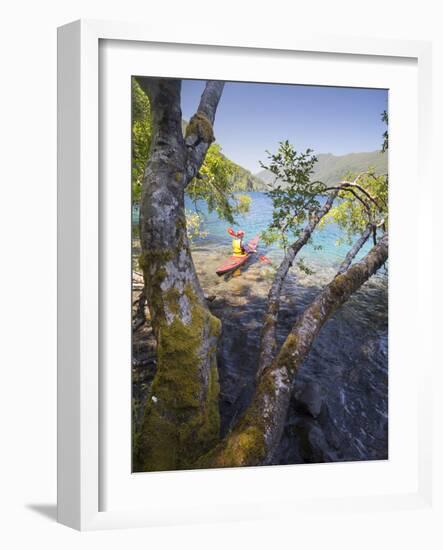 Sea Kayaker with Alder (Alnus Rubra), Crescent Lake, Washington, USA-Gary Luhm-Framed Photographic Print