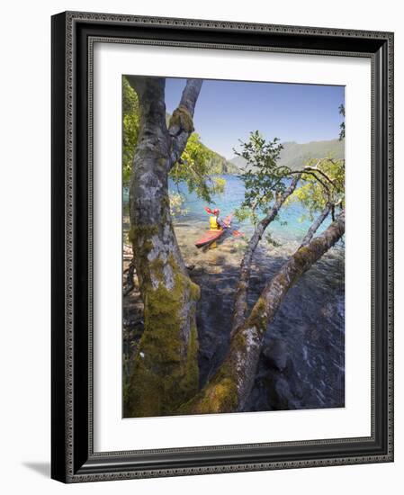 Sea Kayaker with Alder (Alnus Rubra), Crescent Lake, Washington, USA-Gary Luhm-Framed Photographic Print