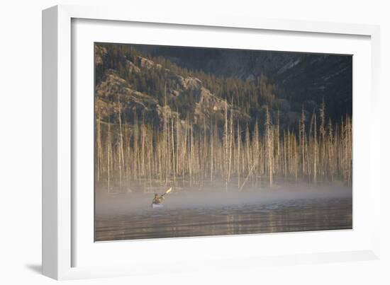 Sea Kayaking Jackson Lake In Grand Teton National Park, WY-Justin Bailie-Framed Photographic Print