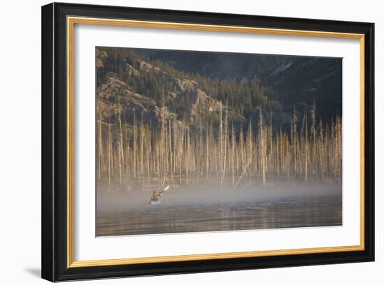 Sea Kayaking Jackson Lake In Grand Teton National Park, WY-Justin Bailie-Framed Photographic Print