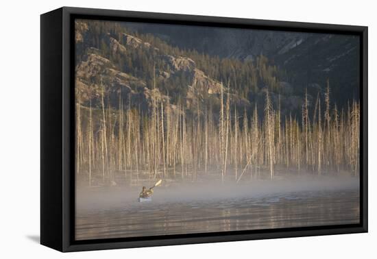 Sea Kayaking Jackson Lake In Grand Teton National Park, WY-Justin Bailie-Framed Premier Image Canvas