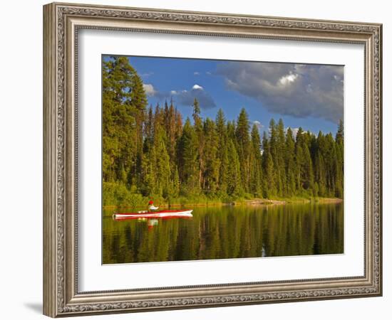 Sea Kayaking on Rainy Lake in the Lolo National Forest, Montana, Usa-Chuck Haney-Framed Photographic Print