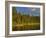 Sea Kayaking on Rainy Lake in the Lolo National Forest, Montana, Usa-Chuck Haney-Framed Photographic Print