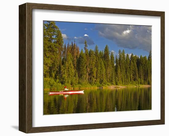 Sea Kayaking on Rainy Lake in the Lolo National Forest, Montana, Usa-Chuck Haney-Framed Photographic Print