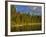 Sea Kayaking on Rainy Lake in the Lolo National Forest, Montana, Usa-Chuck Haney-Framed Photographic Print