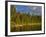 Sea Kayaking on Rainy Lake in the Lolo National Forest, Montana, Usa-Chuck Haney-Framed Photographic Print