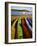Sea Kayaks, Fisherman Bay, Lopez Island, Washington, USA-Charles Gurche-Framed Photographic Print