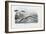 Sea Lamprey, 1863-79-Raimundo Petraroja-Framed Giclee Print