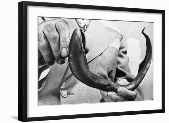 Photographic Print, , large