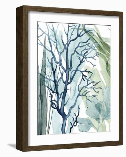 Sea Leaves I-Grace Popp-Framed Art Print