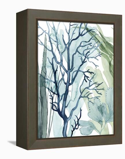 Sea Leaves I-Grace Popp-Framed Stretched Canvas
