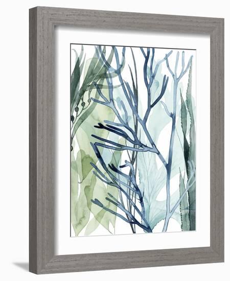 Sea Leaves II-Grace Popp-Framed Art Print