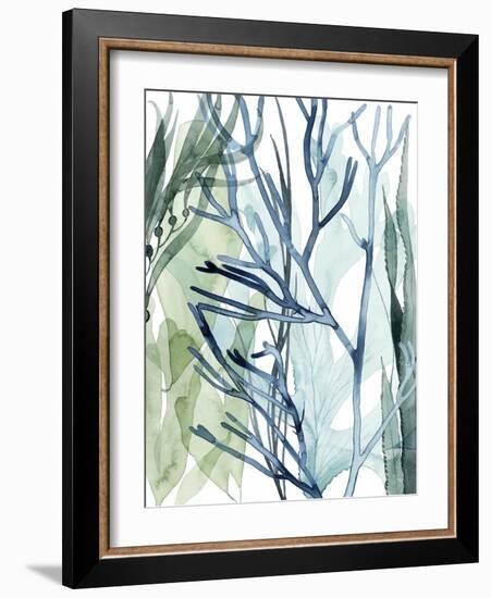 Sea Leaves II-Grace Popp-Framed Art Print