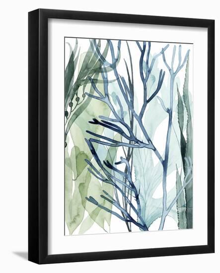 Sea Leaves II-Grace Popp-Framed Art Print