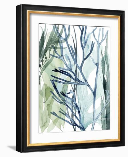 Sea Leaves II-Grace Popp-Framed Art Print