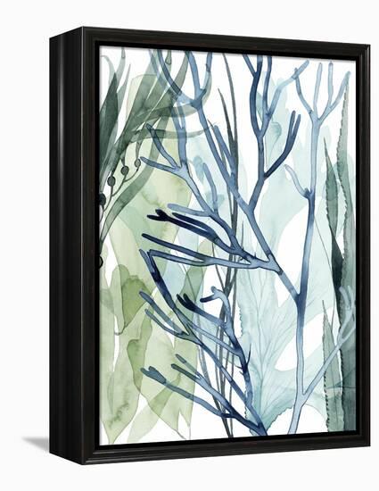 Sea Leaves II-Grace Popp-Framed Stretched Canvas