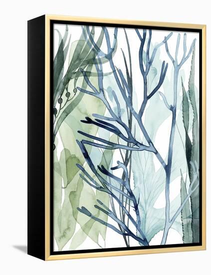 Sea Leaves II-Grace Popp-Framed Stretched Canvas