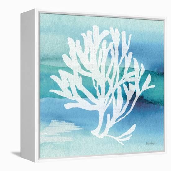 Sea Life Coral I-Lisa Audit-Framed Stretched Canvas