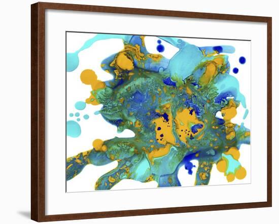 Sea Life Fantasy-Amy Vangsgard-Framed Giclee Print