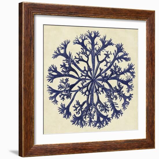 Sea Life I-null-Framed Art Print