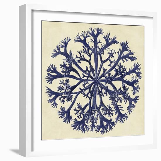 Sea Life I-null-Framed Art Print