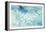 Sea Life II-Lisa Audit-Framed Stretched Canvas