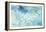 Sea Life II-Lisa Audit-Framed Stretched Canvas