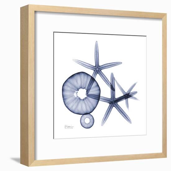 Sea Life in Blue II-Albert Koetsier-Framed Art Print