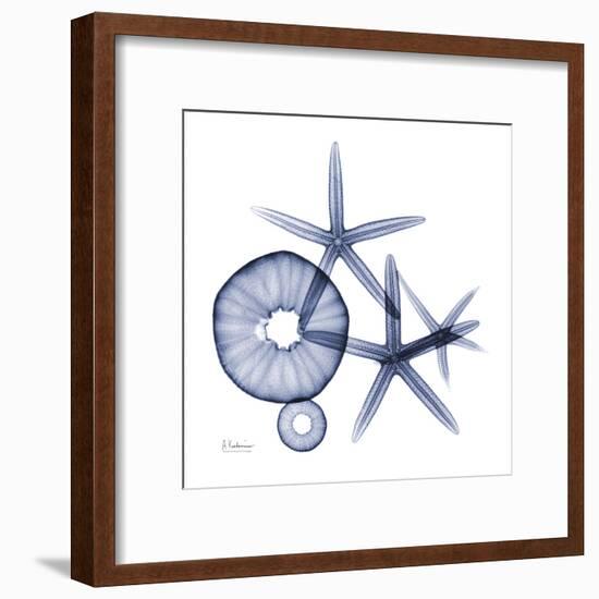 Sea Life in Blue II-Albert Koetsier-Framed Art Print