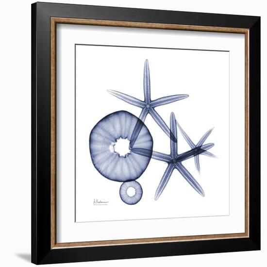 Sea Life in Blue II-Albert Koetsier-Framed Art Print