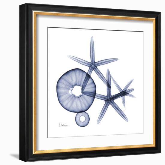 Sea Life in Blue II-Albert Koetsier-Framed Art Print