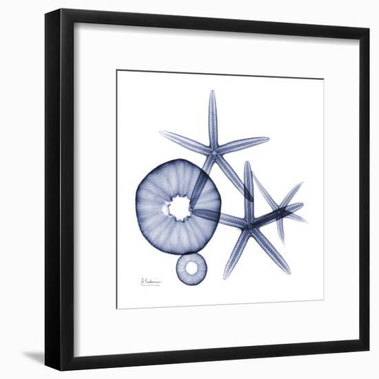 Sea Life in Blue II-Albert Koetsier-Framed Art Print