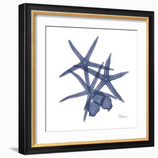 Sea Life in Blue-Albert Koetsier-Framed Art Print