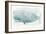 Sea Life V-Sara Zieve-Framed Premium Giclee Print