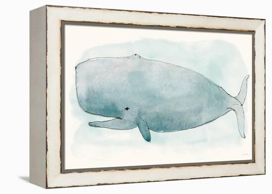 Sea Life V-Sara Zieve-Framed Stretched Canvas