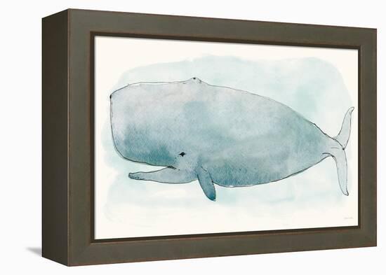 Sea Life V-Sara Zieve-Framed Stretched Canvas