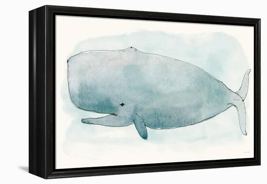 Sea Life V-Sara Zieve-Framed Stretched Canvas